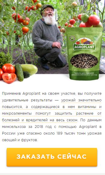 Где в Новороссийске купить биоудобрение агроплант